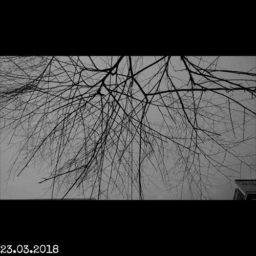 Photo 200